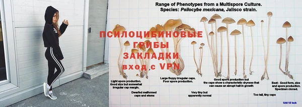 не бодяженный Алексин