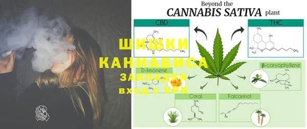 стафф Аркадак