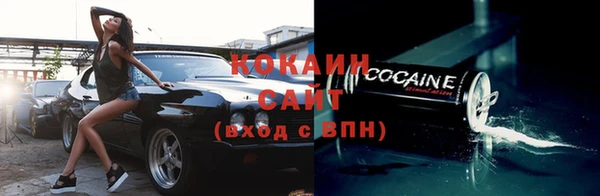 стафф Аркадак