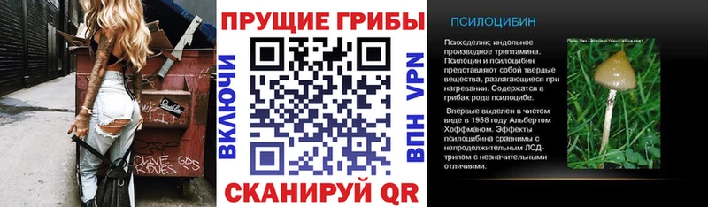Псилоцибиновые грибы Cubensis  Ухта 